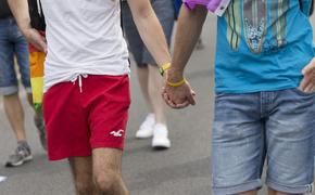 Глава МИД Латвии призвал людей подписаться за однополые браки