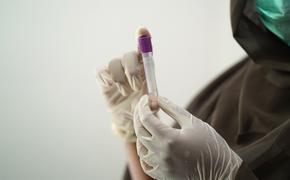 14 несовершеннолетних заразились коронавирусом на Кубани за сутки