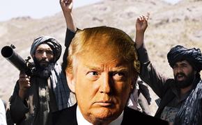 «Надеемся, что он выведет войска из Афганистана», «Талибан» (запрещённая группировка в РФ) поддержит возможное переизбрание Трампа