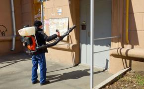 В Челябинске продолжат работу по санобработке дворов и подъездов