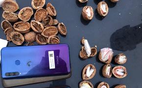 МВД: в Краснодаре спрятали почти 100 грамм наркотиков в скорлупу от орехов
