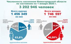 Нижегородская область находится в демографической яме