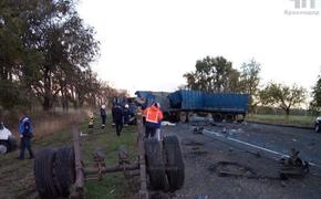 На Кубани столкнулись два КамАЗа и легковой автомобиль