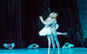 Краснодарский театр покажет онлайн-балет