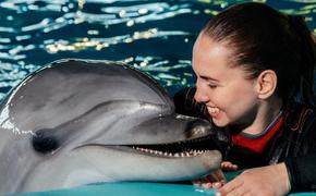 Почему  дельфины обладают удивительными способностями «самоконтроля»