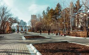 Мэр Хабаровска проигнорировал просьбы горожан не строить дома у парка 