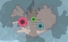 О том, как с коронавирус­ом справилась Исландия  