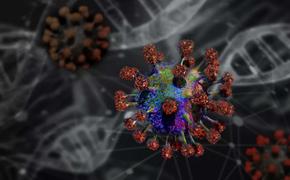 В обществе теория об искусственном происхождении коронавируса по прежнему популярна​