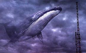 Существует ли на самом деле, таинственный океанский монстр - 52-герцевый кит? 