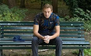  В Петербурге депутату Максиму Резнику отключили микрофон после слов об «отравлении» Навального