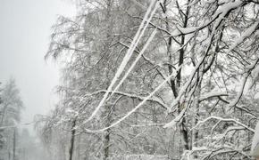 В Краснодарском крае объявили экстренное предупреждение по снегу