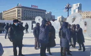 Хабаровчане вышли на «фургальский» митинг в 30-градусный мороз