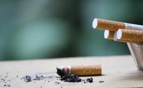 Депутат  Говорин оценил требование о «самозатухающих сигаретах»