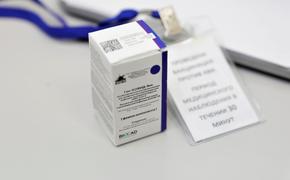 Канцлер Австрии готов привиться вакциной от коронавируса из России или Китая 