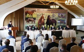 Состояние коневодческой отрасли Кубани обсудили на краевом совещании