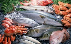 На экспорте рыбы Россия заработала 2,8 млрд долларов
