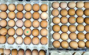 В российских магазинах подорожают яйца и мясо птицы. О подорожании узнали в торговых сетях