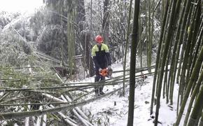 В дома половины пострадавших от непогоды сочинцев вернули свет