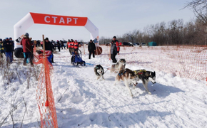 Под Хабаровском прошли гонки на собачьих упряжках
