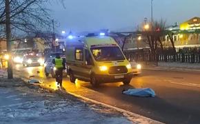 В Улан-Удэ водитель «Лексуса» сбил насмерть детей