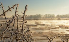 На Сахалине двенадцать рыбаков унесло в море на льдине 