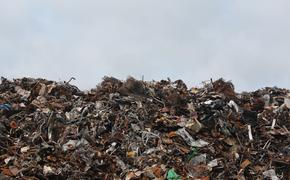 В одном из районов Кубани могут построить мусороперерабатывающий комплекс