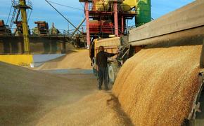Подъем экспорта продовольствия на фоне роста цен внутри страны  