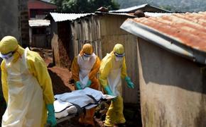 Ситуация с коронавирусом в Африке вызывает серьёзную тревогу​