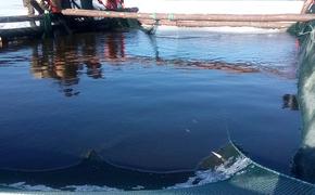 Судьбу рыбаков Хабаровского края решат во Владивостоке