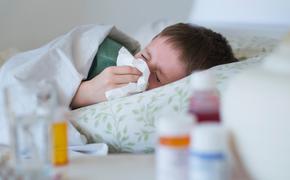 В Хабаровске 80 детей за неделю заболели пневмонией