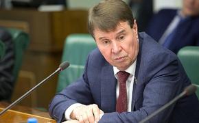 Сенатор  Цеков ответил на предупреждение Блинкена о «последствиях» для России 
