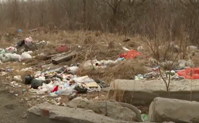 У заповедника под Хабаровском нашли тонны мусора