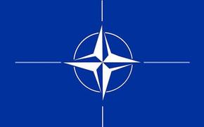 НАТО поддерживают объявленные США «меры реагирования на дестабилизирующую деятельность РФ»