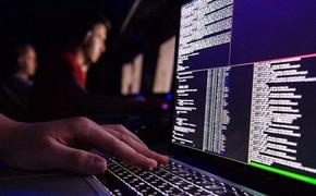 В Эстонии прошли учения НАТО по кибербезопасности
