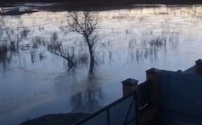 В Хабаровском крае затопило приусадебные участки