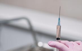 Иммунолог  Караулов  назвал два условия вакцинации переболевших коронавирусом 