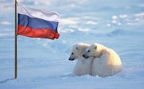 Запад боится, что Москва захватит 70% дна Северного Ледовитого океана