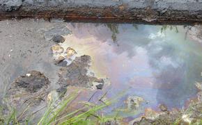 Нефтепродукты пролились в хабаровское озеро 