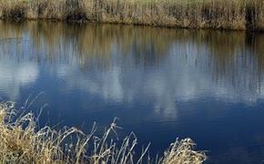 В реке под Нижним Новгородом нашли тело пропавшего накануне мальчика