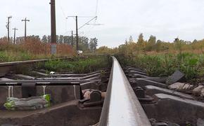 Девушка попала под грузовой поезд рядом с Хабаровском