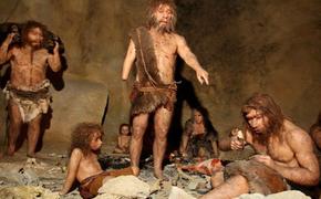 От неандертальцев до первых людей: новые исследования  ученых об этапах  эволюции