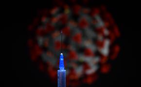 Мясников назвал условия для обязательной вакцинации от коронавируса в России 