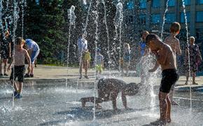 Челябинские дети проведут каникулы в летних лагерях и на дачах