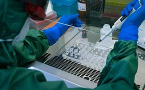 Украинские учёные неплохо продвинулись в тематике «ковидного» иммунитета