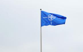 Лавров заявил, что НАТО вынашивает планы, способные нанести вред России