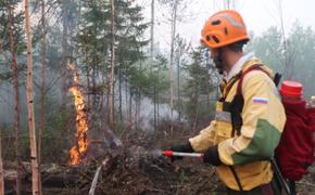 Ситуация с лесными пожарами в  Сибири резко ухудшилась