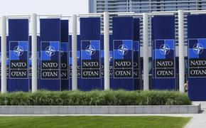 НАТО призвала Россию вернуться в Договор по открытому небу 