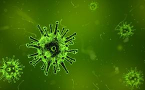 Главный ревматолог Москвы Алёна Загребнева предупредила, что последствиями коронавируса могут стать аутоиммунные заболевания
