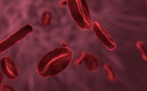 Немецкие ученые выяснили, что коронавирус способен влиять на свойства клеток крови
