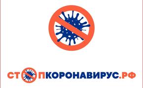 Жителей Челябинской области предупредили о сайтах-клонах официального портала стопкоронавирус.рф